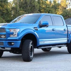 2016 Ford Shelby F-150 4x4